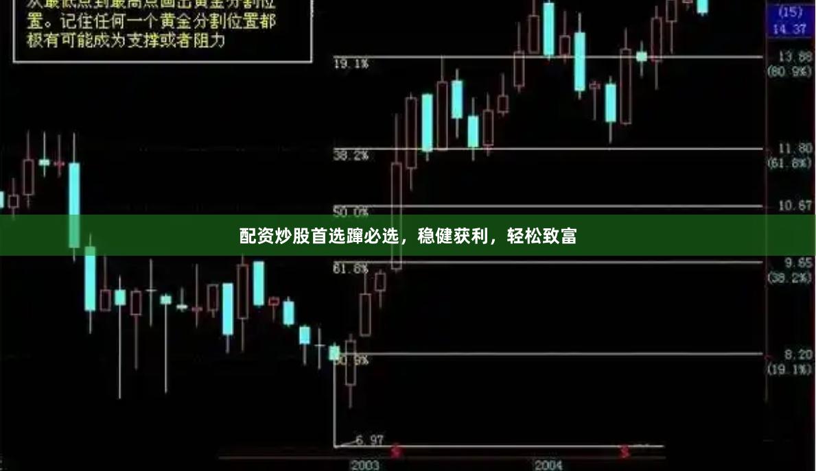 配资炒股首选蹿必选，稳健获利，轻松致富